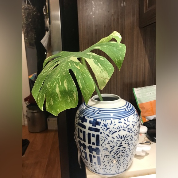 Vase - Picture 6 of 10